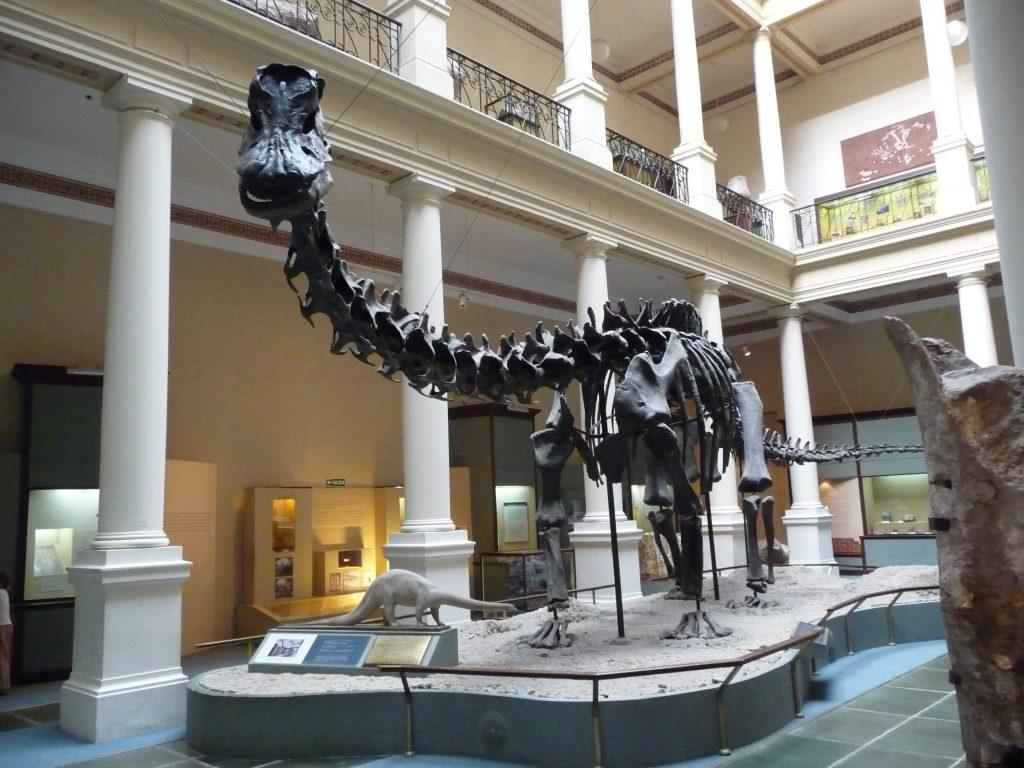 dinoszaurusz Argentina